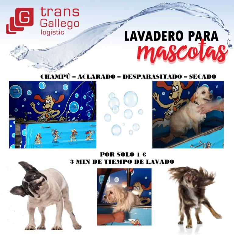 TransgallegoCollageLavamascotas