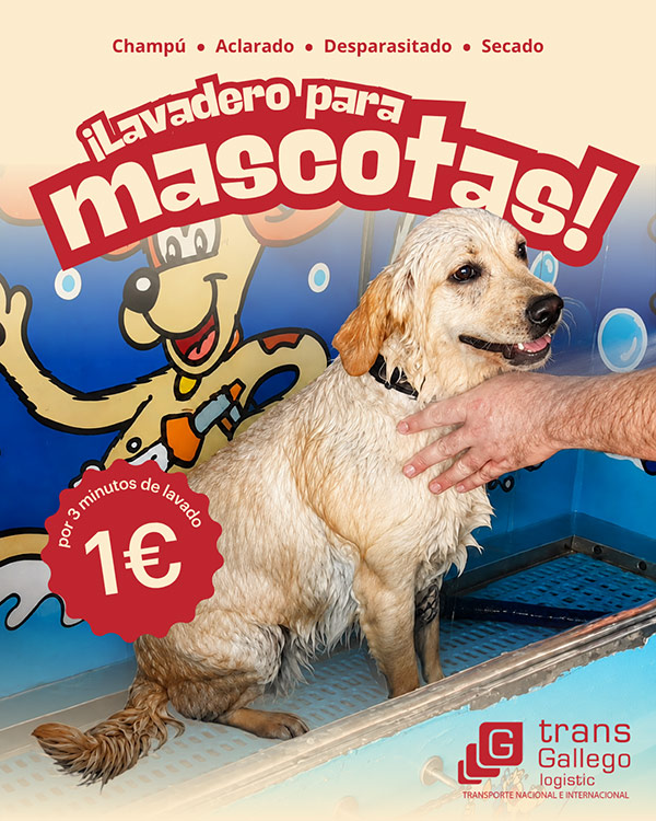 lavadero-transgallego